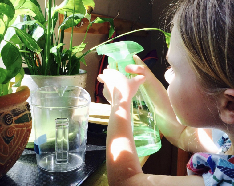 Montessori plant care sequence